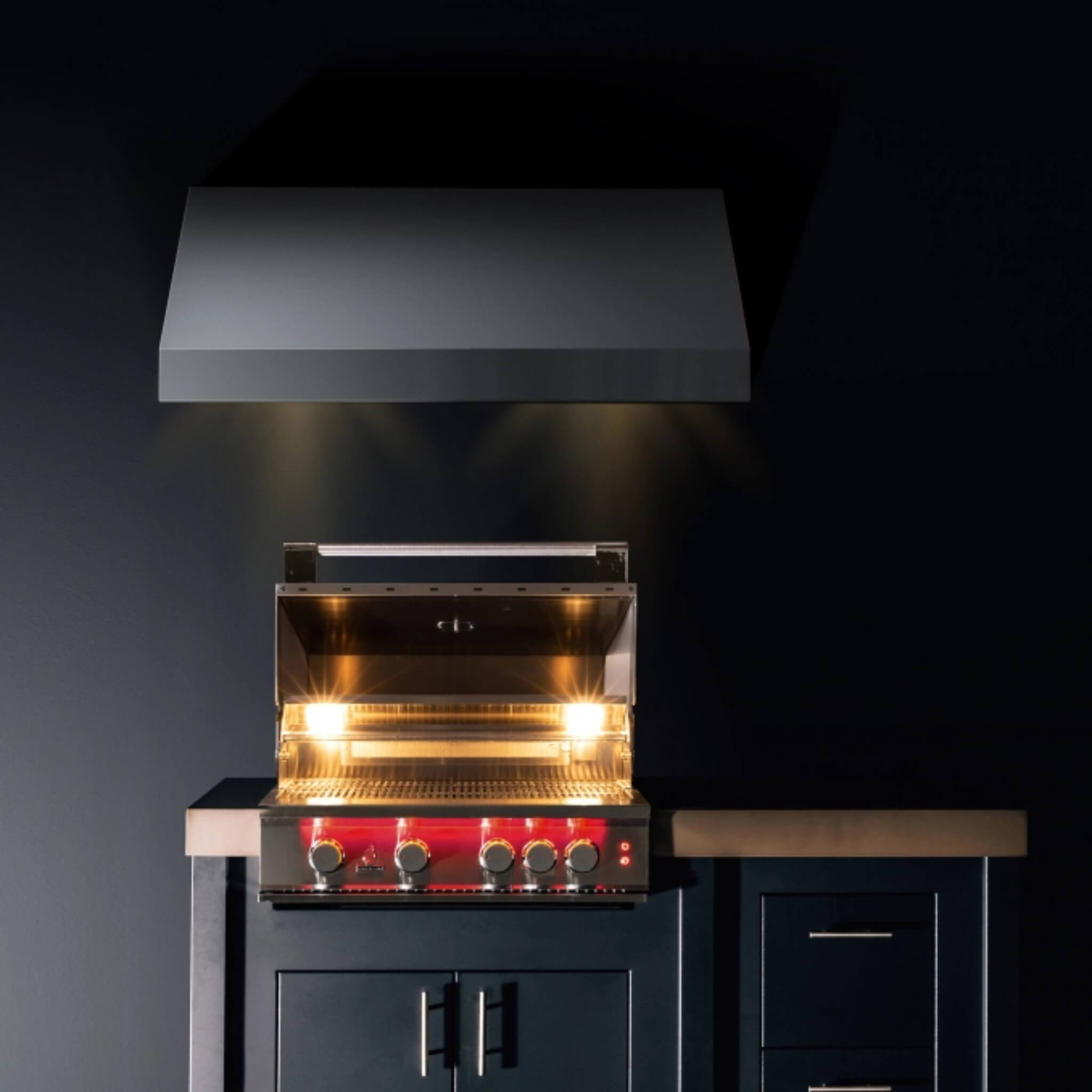 TrueFlame Luxury Built-In Gas Stainless Steel Grills [TF25/32/40] (SAK30587) - Energize Trek