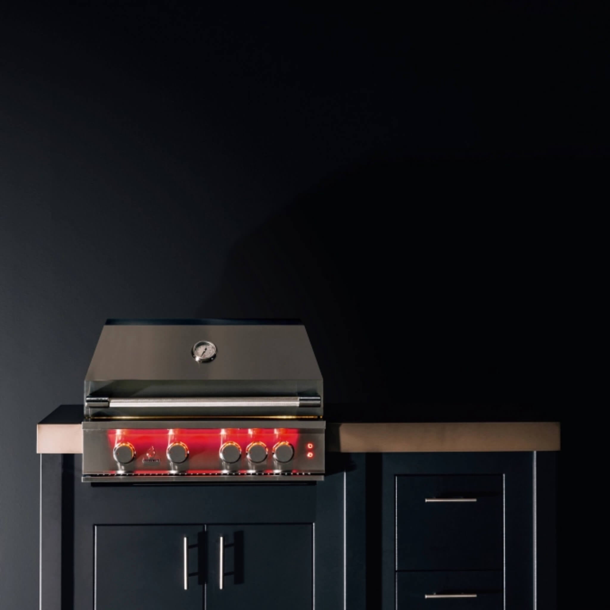 TrueFlame Luxury Built-In Gas Stainless Steel Grills [TF25/32/40] (SAK30587) - Energize Trek
